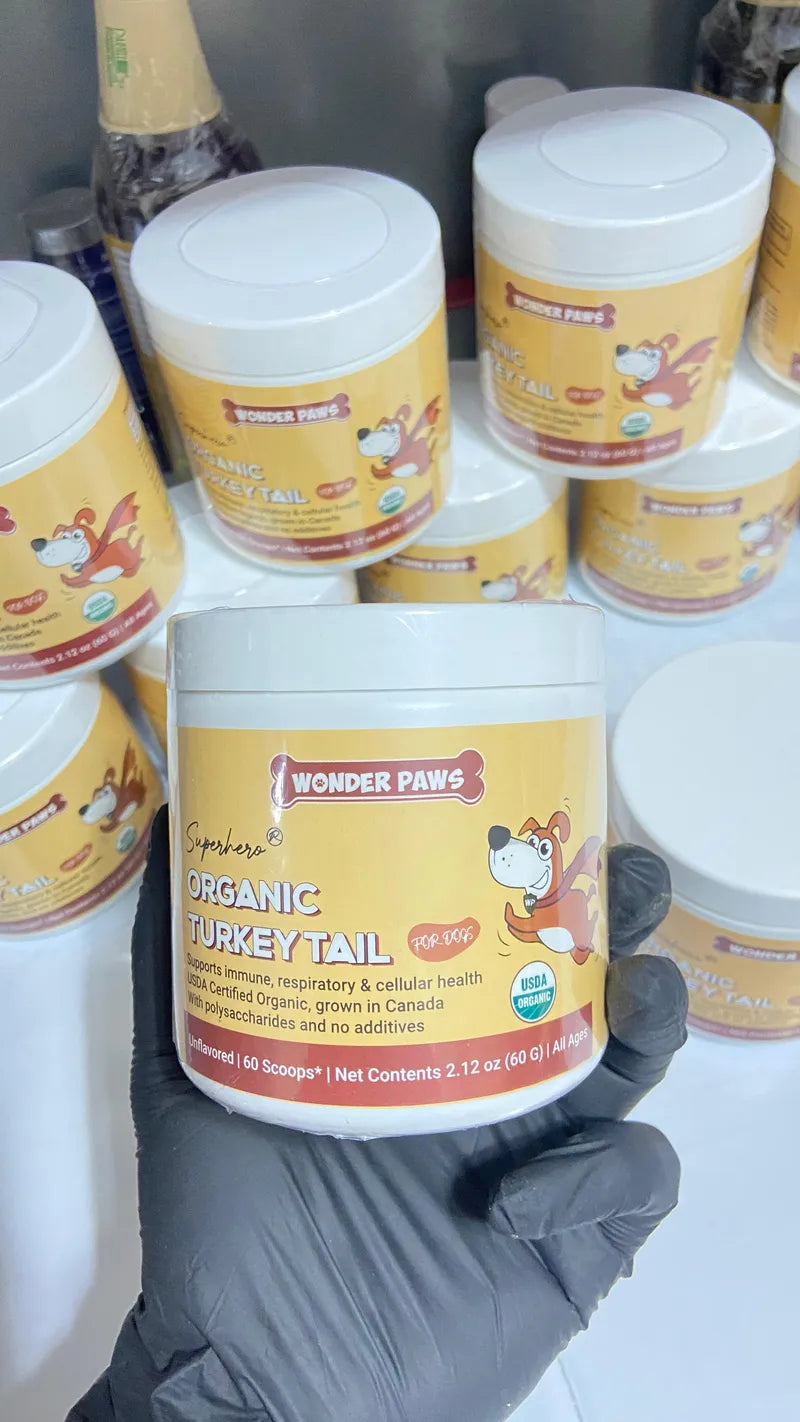 HONGO COLA DE PAVO WONDER PAWS PREMIUM